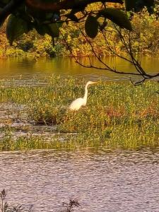 Stay at Alexas Nature House