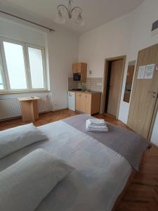 Casa Rezidentiala Pasteur