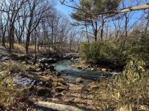 久住みんなの森ロッジ-フォレストソロキャビン