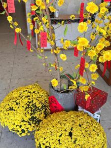 HOLIDAY HOTEL PHAN THiẾT