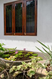 Shelburne Home Villas Ahangama