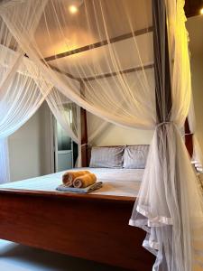 Adlook Travels Deka private Villa