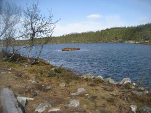 Leilighet på fjellet nær Geilo
