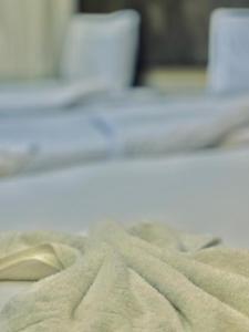 Pyramids fort & free pick up shuttle