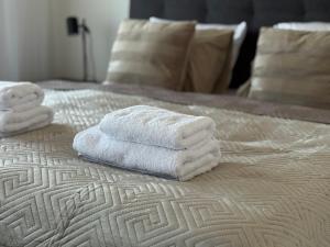 Skyline 57m Family Suite with Terrace - Prague Center