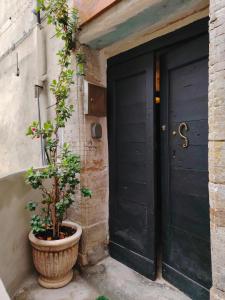 Casa Pincera - Birthplace of a Legend
