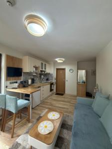 Green Line Studio Appartment Pamporovo