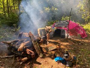 Reserva Wanaka, San Carlos