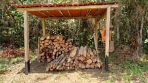 Reserva Wanaka, San Carlos