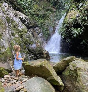 Reserva Wanaka, San Carlos