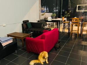 GREEN CURRY HOSTEL at Chang Klan