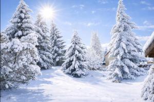 Forest House near Klínovec with 5 Independent Apartments