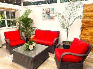 Buendía Lux Piña Suite Hidden Gem Near Beach with Pool