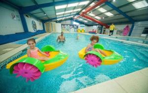Shells at Sandylands