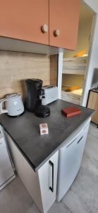 Cigale de mer 2 Plage et centre ville