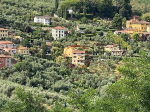 Renovated Tuscan Home overlooking Vineyards