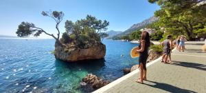 Apartments Vranjes Deluxe