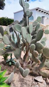 Belle Villa avec piscine privée a 15minutes a pied de la mer