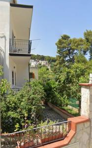 La Casa tra i Pini