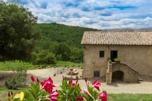 Tenuta della Selva - Castellaccio 7