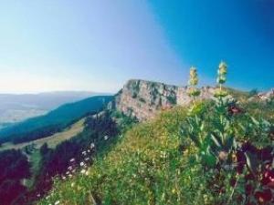 Chalet 3 étoiles - Piscine - ccbbbdd