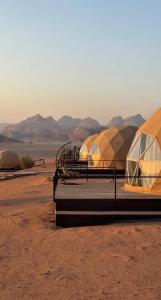 Rolx wadi rum