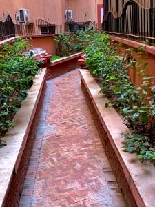 Studio moderne et calme à Guéliz