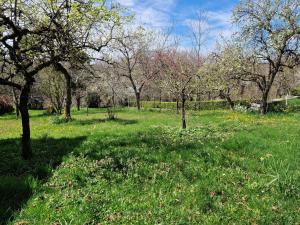 Gite la Roque, calme, campagne