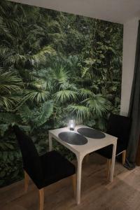 Jungle studio