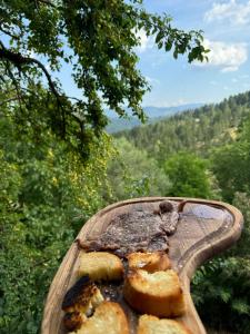 AETIA -TSIOURGIAKA MPATSILAS Group