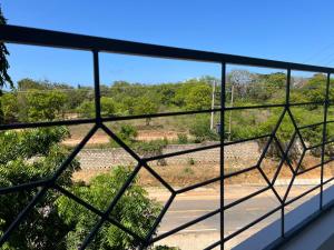 Figtree 1br yellow by Kiv