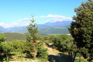 Casa Rural piscina y vistas al Cadí
