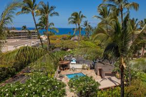 Kihei Akahi C519