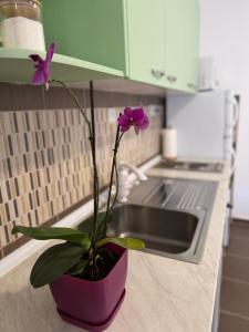 Chīsai Apartment