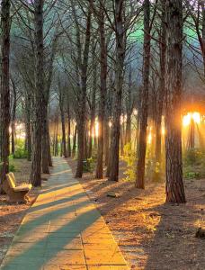 Casa Vacanze "Pizzo Sorriso Del Mare"
