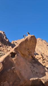 Isis pyramids sphinx