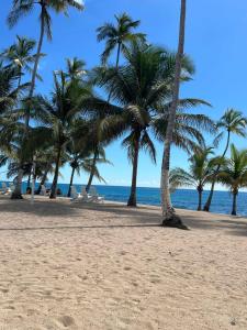 Apartamento frente al Mar y Piscina