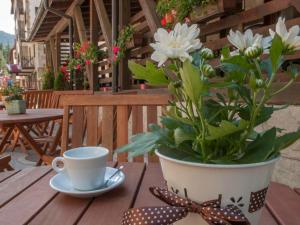 Green Life Family Apartments Pamporovo