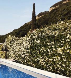 Villetta Moscal- Buon Gusto