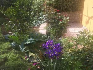 Apartments with parking space Losinj, Losinj - 25040