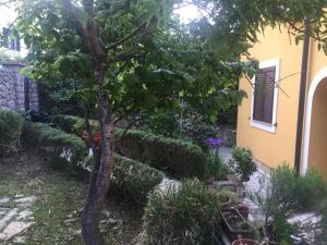 Apartments with parking space Losinj, Losinj - 25040