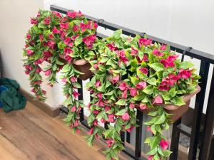 Hotel Boutique Blanca Gazzo