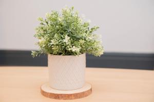 Sevenstay Plus - 60 Old Hall Street