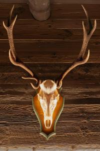 Attic Apartment In Sauris Di Sopra Dolomites