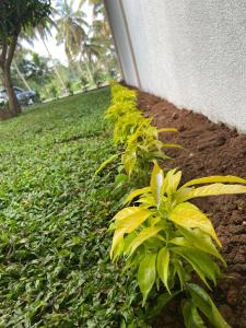 Ranketha Hideout Resorts