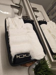 Luxury 1 BedRM Unit in Frisco Pool Gym & Workplace