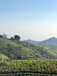 Mountain View Budget Villa Thekkady