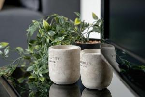 Przytulny Apartament z Biurkiem w Spokojnej Okolicy by Noclegi Renters