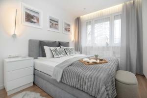 Toruń Cozy Apartment with Balcony by Noclegi Renters
