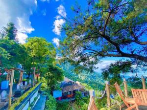 Mo Mang House Tam Dao by Tuan Tu